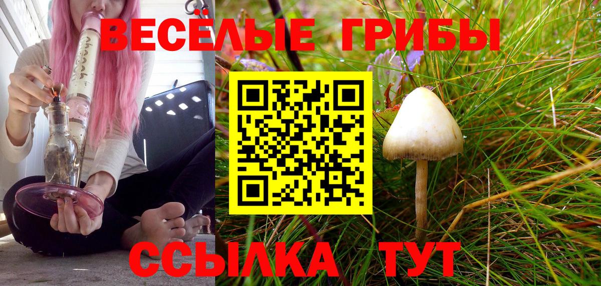 Псилоцибиновые грибы Magic Shrooms  Вход с VPN  Арсеньев 